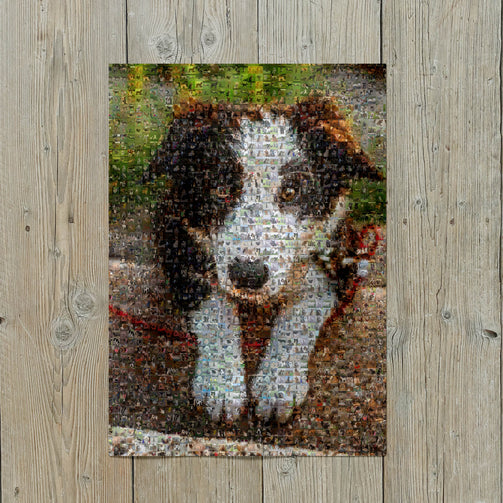 dog photo mosaic