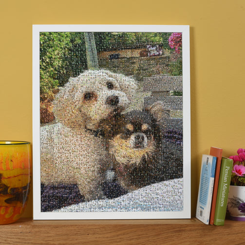 photo mosaic design with two dogs